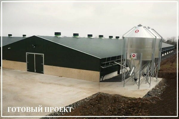 Этапы возведения птицефабрики от завода ВелесТент-рсз